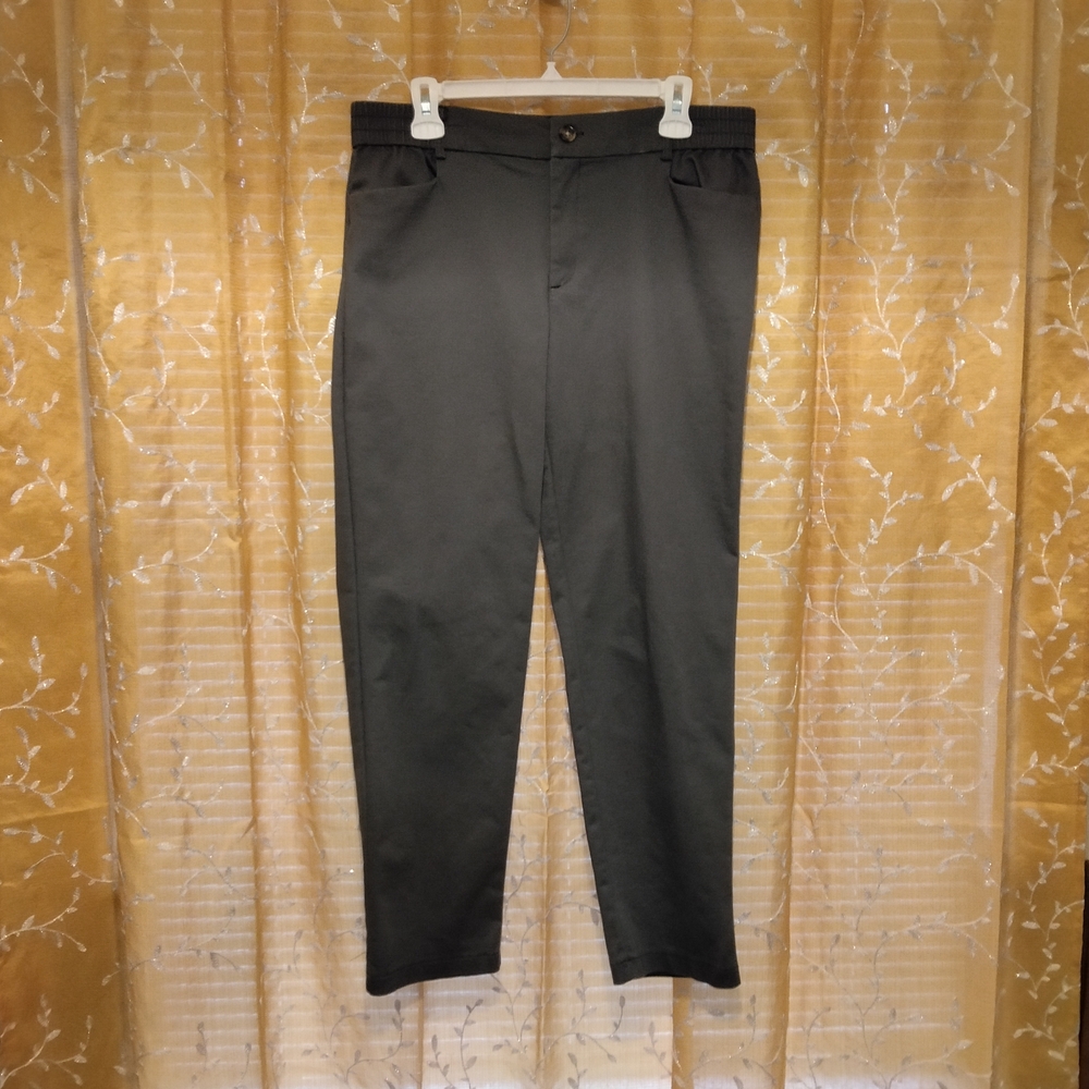 Wonderly Women's Pants Stone Grey Twill Casual Pants Size 10PA
